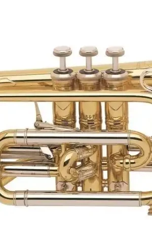 Prix réduit | Cornet Bach Stradivarius 184