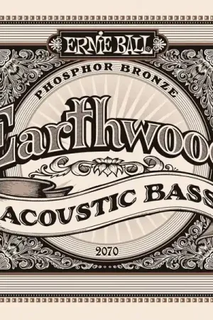 Prix réduit | Jeu de Cordes Basse Ernie Ball 2070 Earthwood 45-95