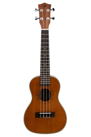 Très bien noté | Ukulele Prodipe Guitars BC2 Concert