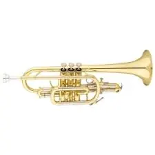 Qualité supérieure - Cornet Eastman ECN223