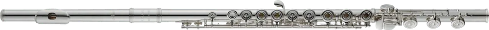 Plus que quelques jours | Flute Traversière Azumi AZZ3RBI Argent