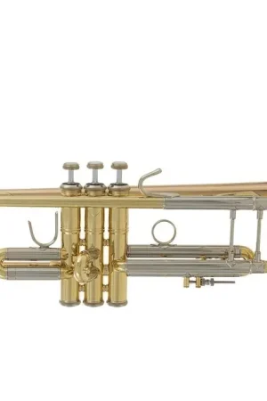 Disponible à la commande | Trompette Sib Bach Stradivarius 180GL
