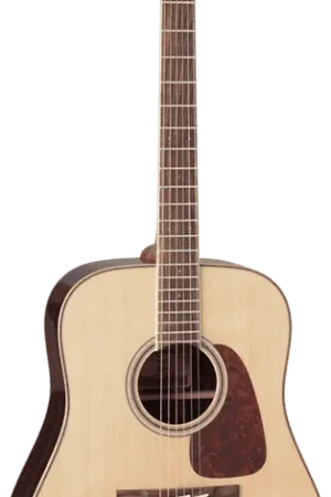 Affaire à saisir | Takamine GD93-NAT Naturel