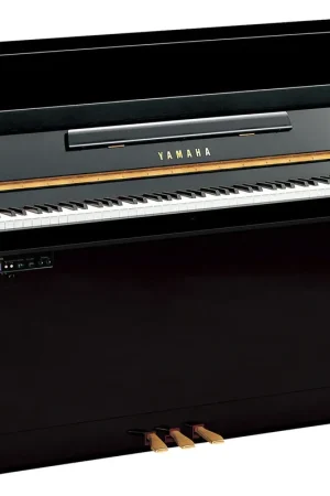 Satisfait ou remboursé - Yamaha B10 SC3 Silent