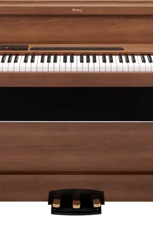 Super offre - Korg POETRY