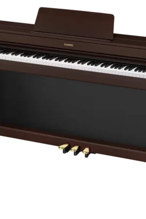 Bonne affaire | Casio Celviano AP-300BN