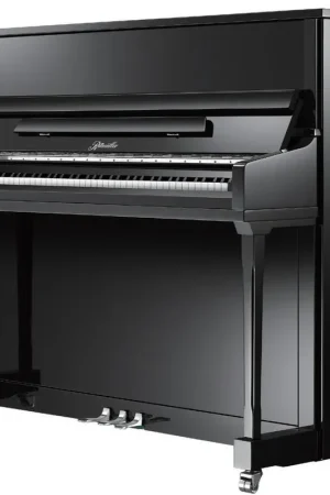 Ritmuller EU122S Noir chrome | Très apprécié des clients