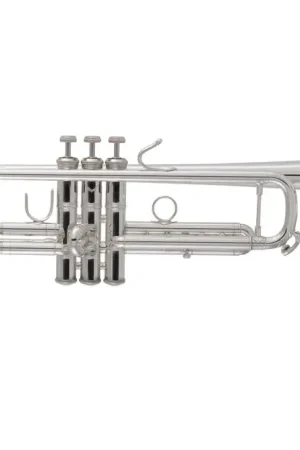 Tout juste arrivé - Trompette BACH APPOLO 170S43GYR