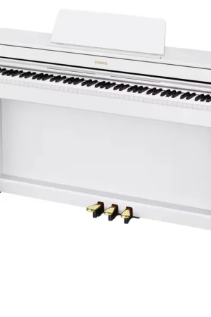Casio Celviano AP-300WH - Derniers articles