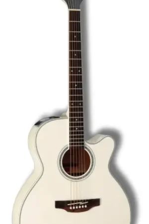 Paiement sécurisé | Takamine GN37CE PW NEX Cutaway Pearl White