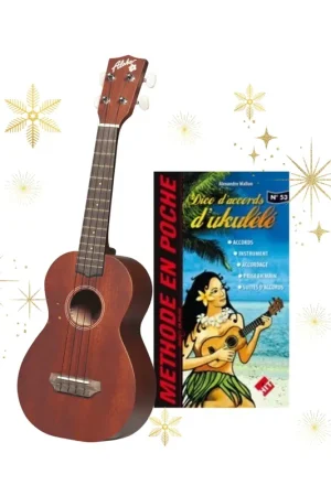 Pack Ukulele Aloha 20C Concert avec Dictionnaire d'accords | Derniers articles
