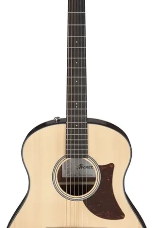 Qualité supérieure | Ibanez AAM50-OPN Open Pore Natural