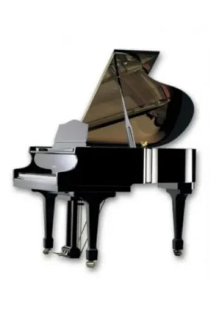 Livraison express | Samick SIG 54
