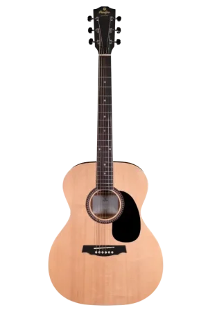 Prix en baisse - Prodipe Guitars SA25 Auditorium