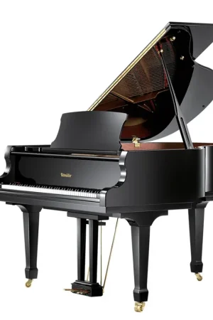 Ritmuller RS150 noir brillant - Expédition express