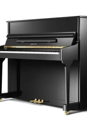 Dernières pièces - Ritmuller AEU118S noir chrome
