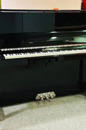 Commandez en ligne | Occasion piano droit Mendelssohn EP125K Diamant
