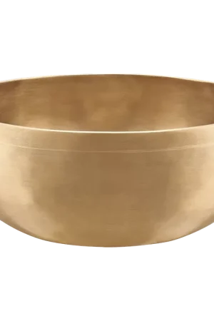 Bon plan | Meinl Sonic Energy Singing Bowl SBC1500