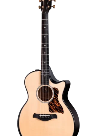 Taylor 50th Anniversary Builder’s Edition 314ce LTD Natural | Disponible