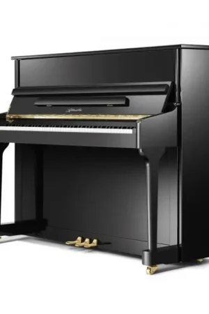 Expédition immédiate - Ritmuller RS118S noir brillant