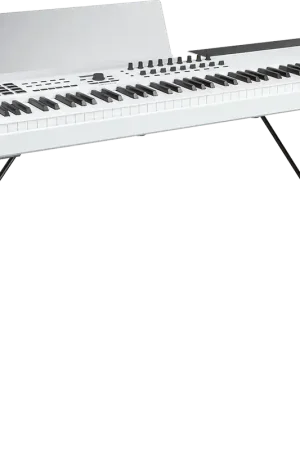 Arturia KL88-STANDBOIS - En stock