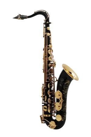 À ne pas manquer - Saxophone Tenor Selmer SA80 Série II Verni Noir