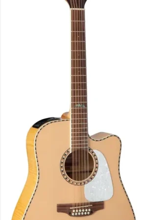 Takamine Dreadnought GD74CE 12 cordes Natural - Achetez en ligne