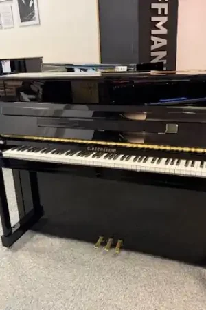 À ne pas manquer | Occasion Rare C.Bechstein 118 Classic