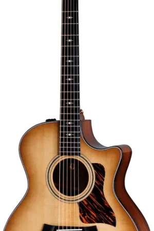 Taylor 50th Anniversary 314ce-LTD Shaded Edge Burst - Top des ventes