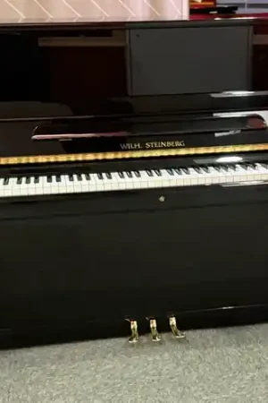 Occasion piano droit wilh steinberg P118 | Tendance