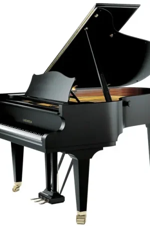 Prêt à expédier | C.bechstein B-212
