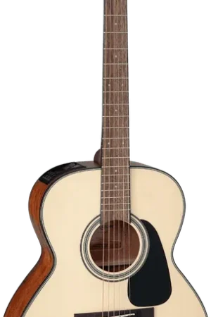 Ajoutez au panier | Takamine GLN12ENS Nex