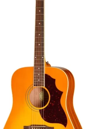 Satisfait ou remboursé - Epiphone Hummingbird Tribute Heritage Sunburst