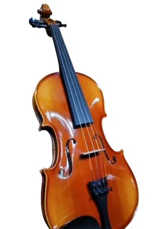 Violon GEWA Allegro 4/4 | Très demandé