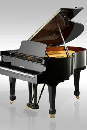 Prix spécial - W.hoffmann Tradition 161