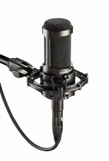 AUDIO-TECHNICA AT2035 | Coup de cœur des clients