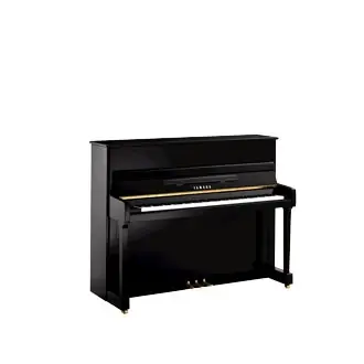 Livraison rapide | Yamaha P116