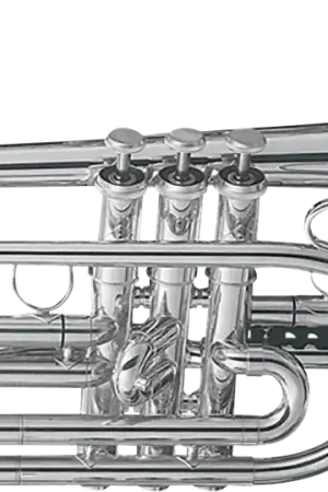 Expédition immédiate | Cornet Getzen Eterna 800S