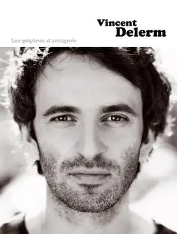 Prix doux | Delerm Vincent Les Piqures D Araignee