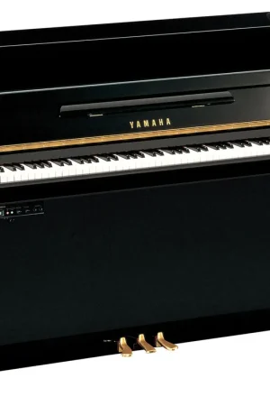 Yamaha B20 SC3 - Prix réduit