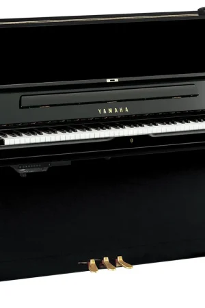 Prix doux | Yamaha YUS1 SH3