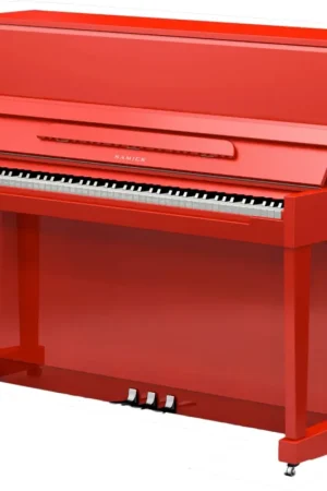Dépêchez-vous - Samick 118 Harmonie Design