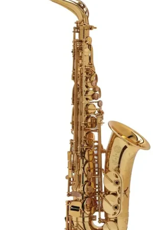 Achetez maintenant - Saxophone Alto Selmer SA80 Serie II Verni