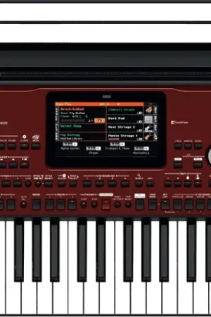 Ne manquez pas cette offre - Korg PA700OR