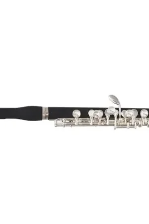 Flute Piccolo Trevor James 5X - Prix choc