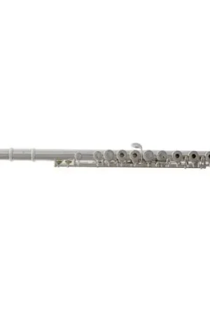 Disponible maintenant | Flute Traversière Trevor James 10X
