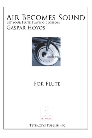 Très bien noté - Hoyos G. Air Becomes ON Sound Flute