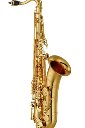 Bientôt épuisé - Saxophone Tenor Yamaha YTS480