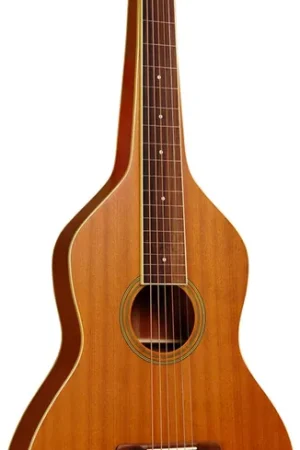 Gold Tone GT-WB Weissenborn Guitar+bag | Offre exclusive