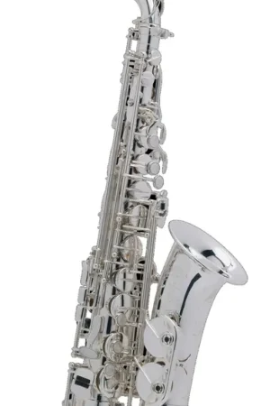 Achetez dès maintenant - Saxophone Alto Selmer SA80 Serie II Argenté